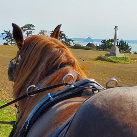 Chez Jollyjune, A Moins D'Une Heure Du Mont Saint Michel Champeaux Bagian luar foto